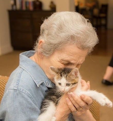 old woman cuddles cat